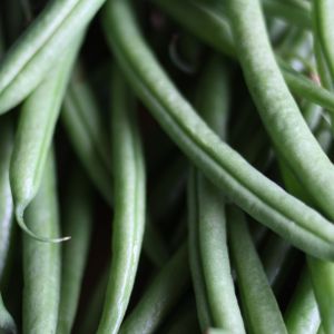 Haricot vert