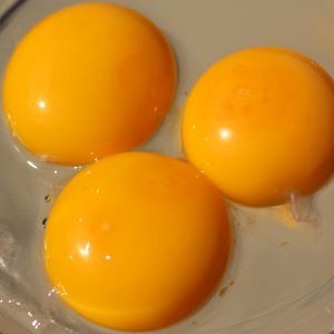 Jaune d’œuf