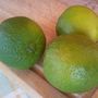 Citron vert (générique)
