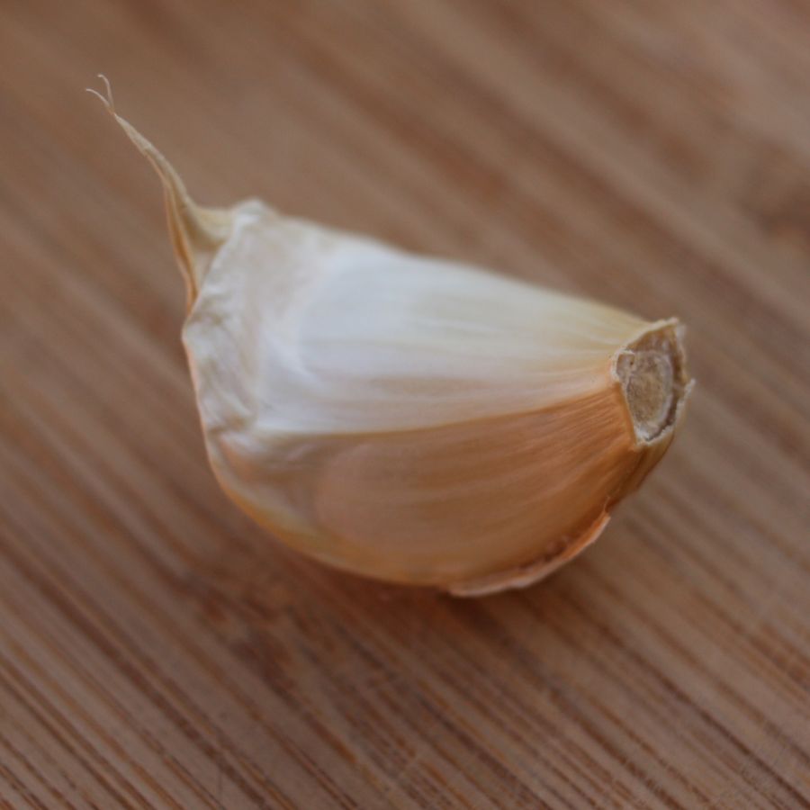 Gousse d'ail